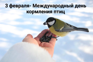 Покормите птиц зимой Покормите птиц зимой.